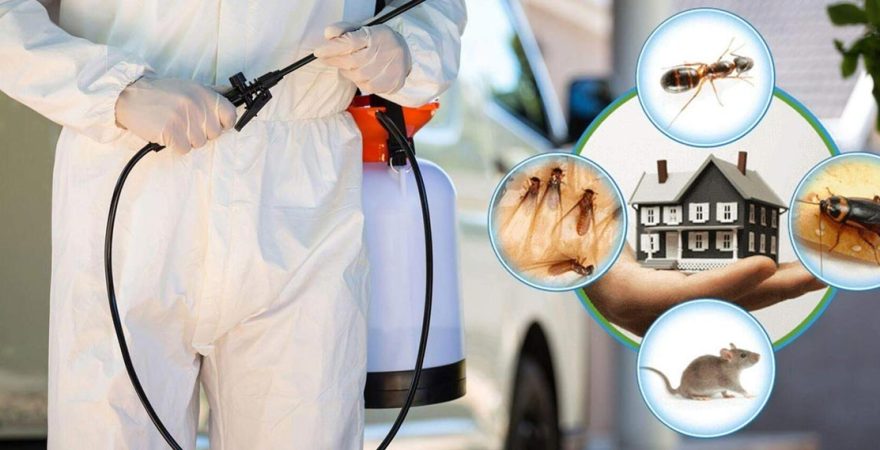 Eskipazar Böcek İlaçlama