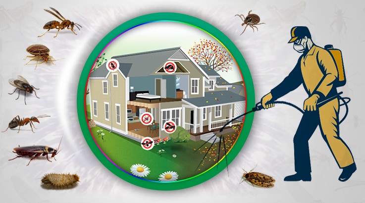 Eskipazar Böcek İlaçlama