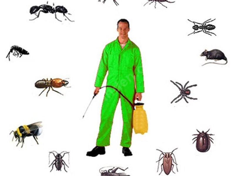 Eskipazar Böcek İlaçlama